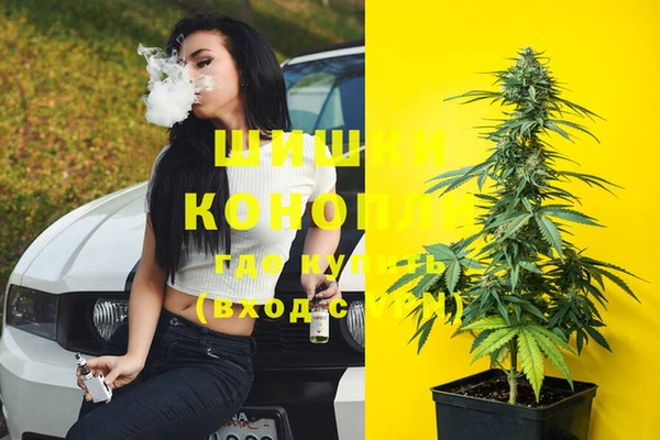 ешки Ладушкин
