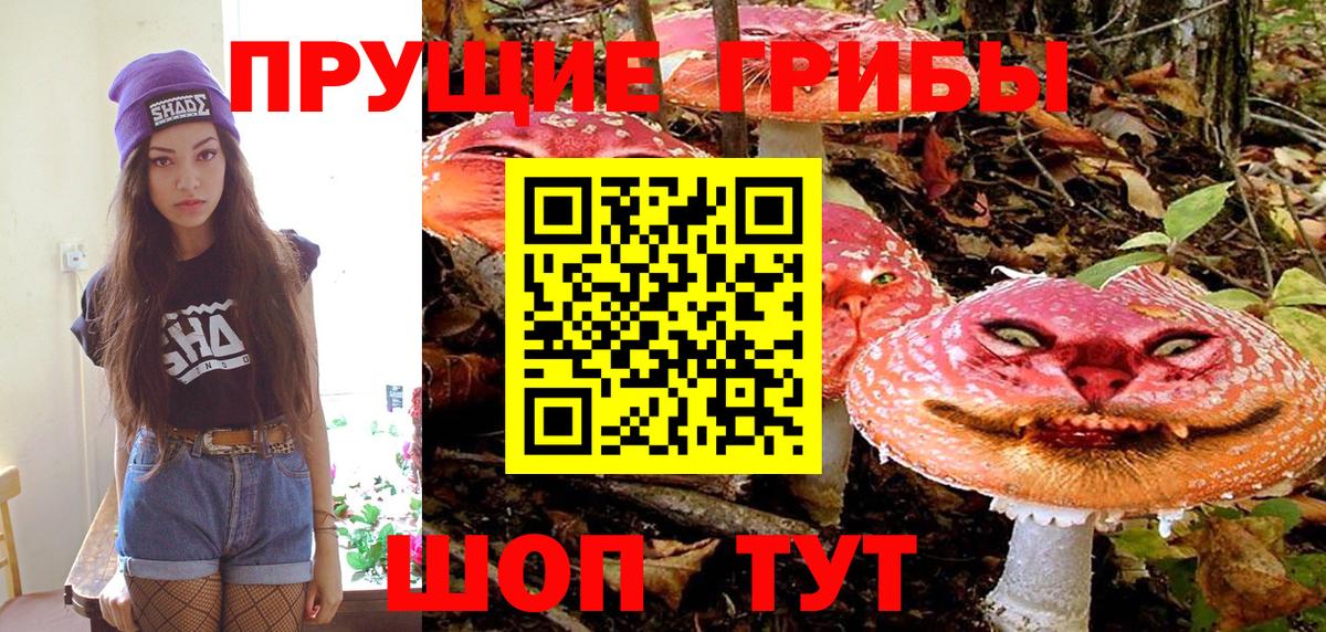 Галлюциногенные грибы Cubensis Нефтеюганск