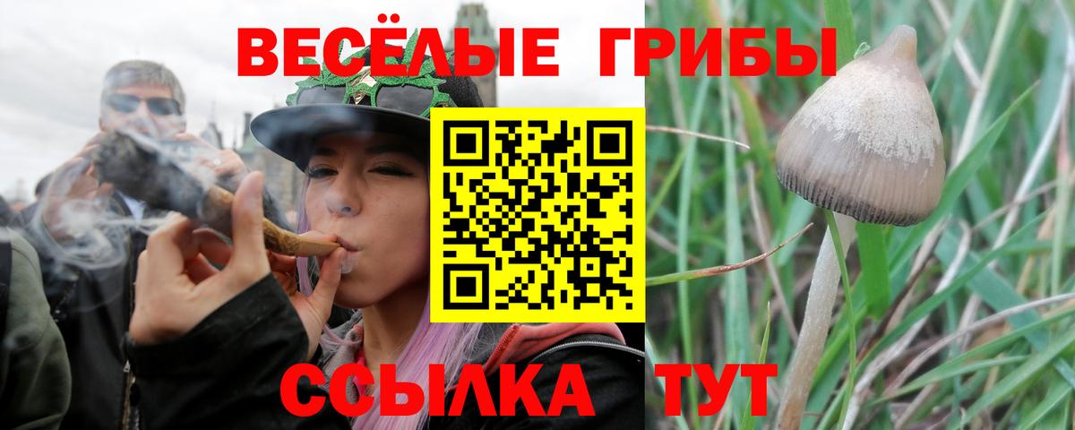 Нефтеюганск  НБОМе  APVP СК кристаллы  МЕФ   МДМА  Вход с VPN  Гашиш  МАРИХУАНА 
